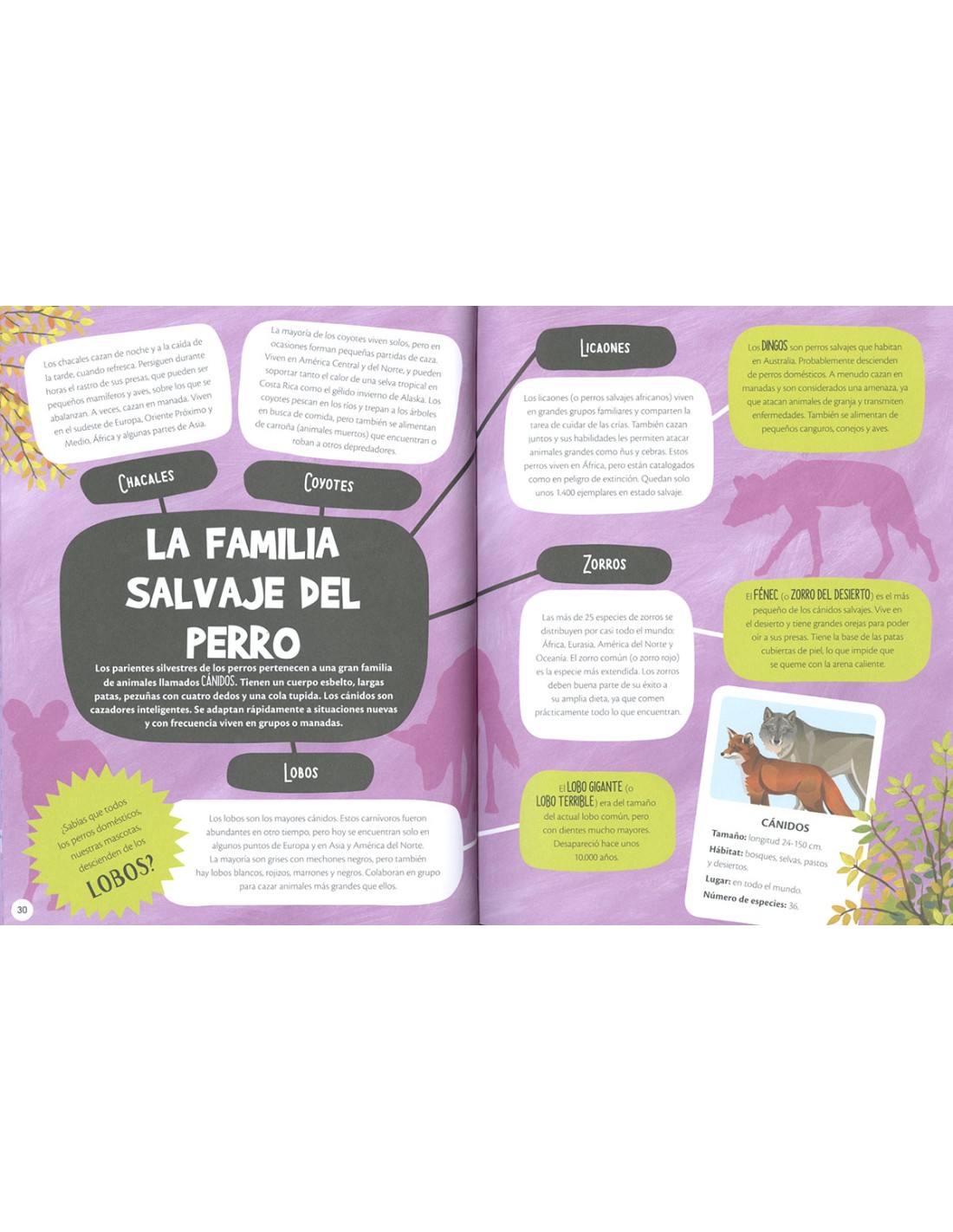 Animales superhéroes