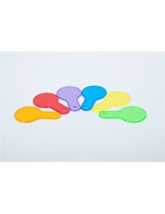 Conjunto 6 paletas de colores traslucidas