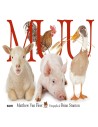 MUU