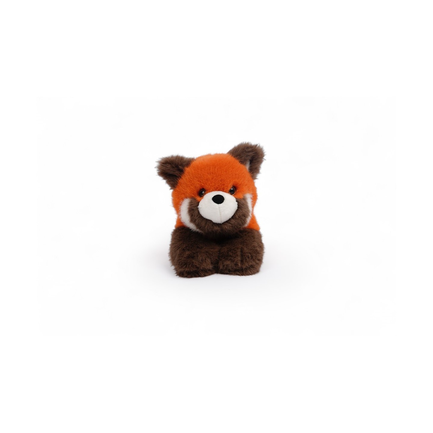 Tu amigo RUSTY, el Panda Rojo