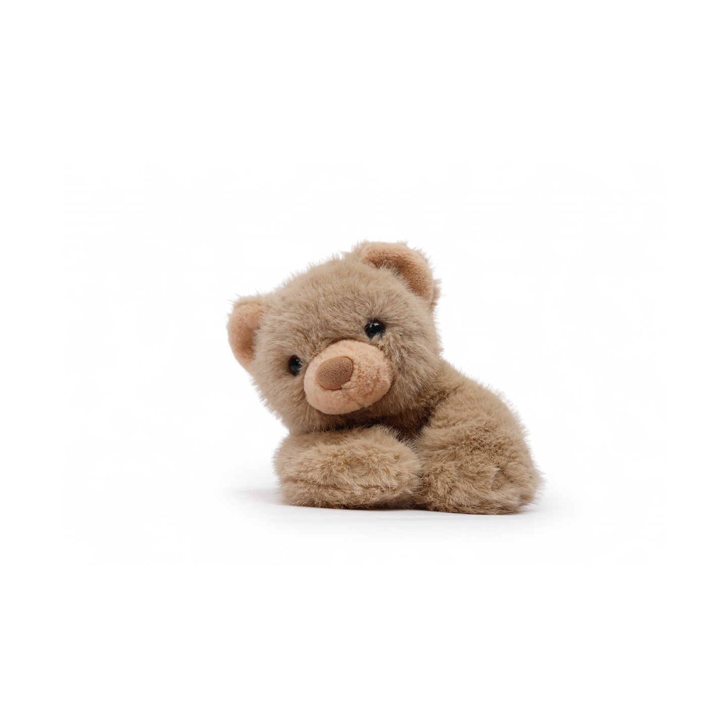 Tu amigo LITTLE, el Oso Marrón