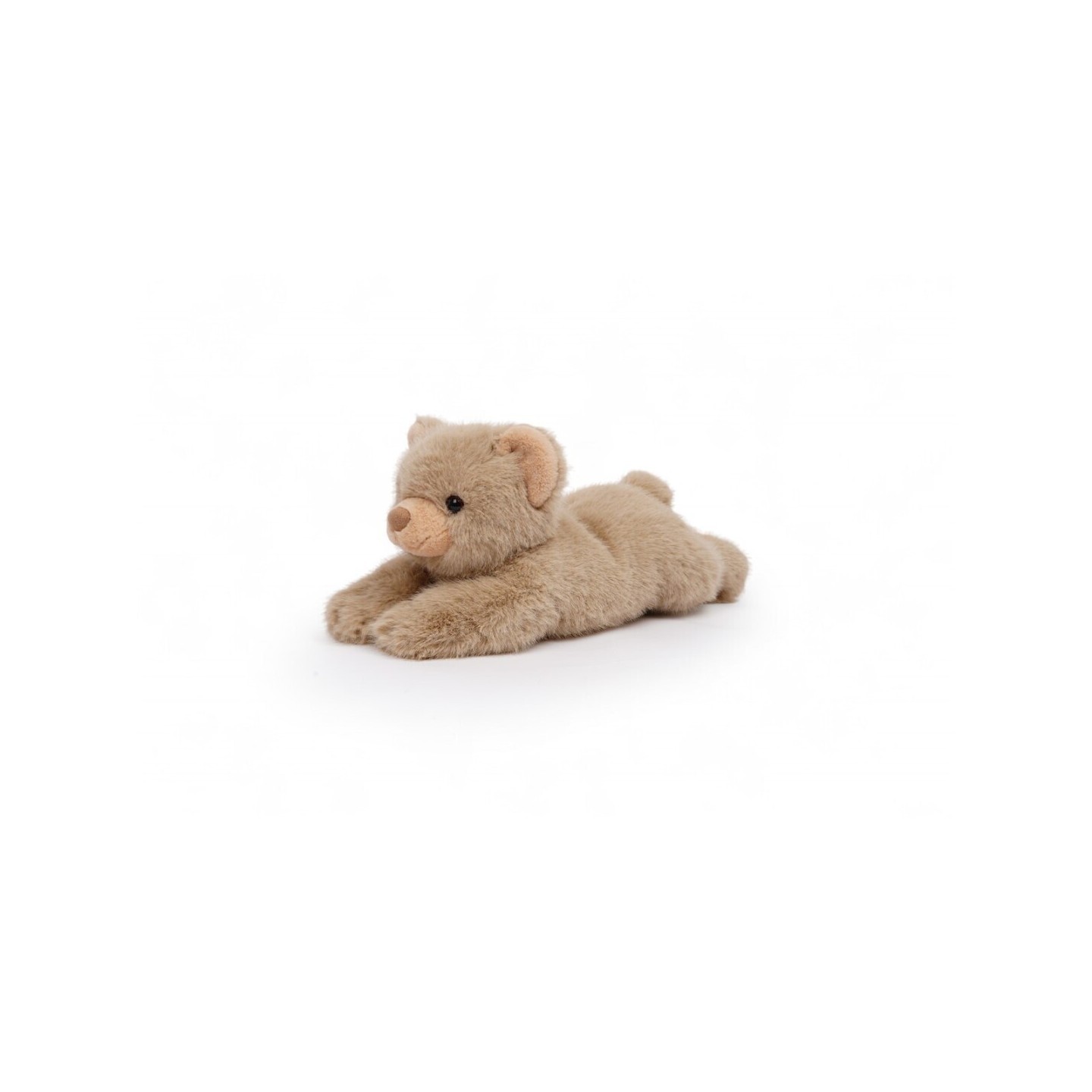 Tu amigo LITTLE, el Oso Marrón