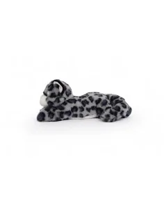 Tu amigo SKY , el Leopardo de las Nieves 2