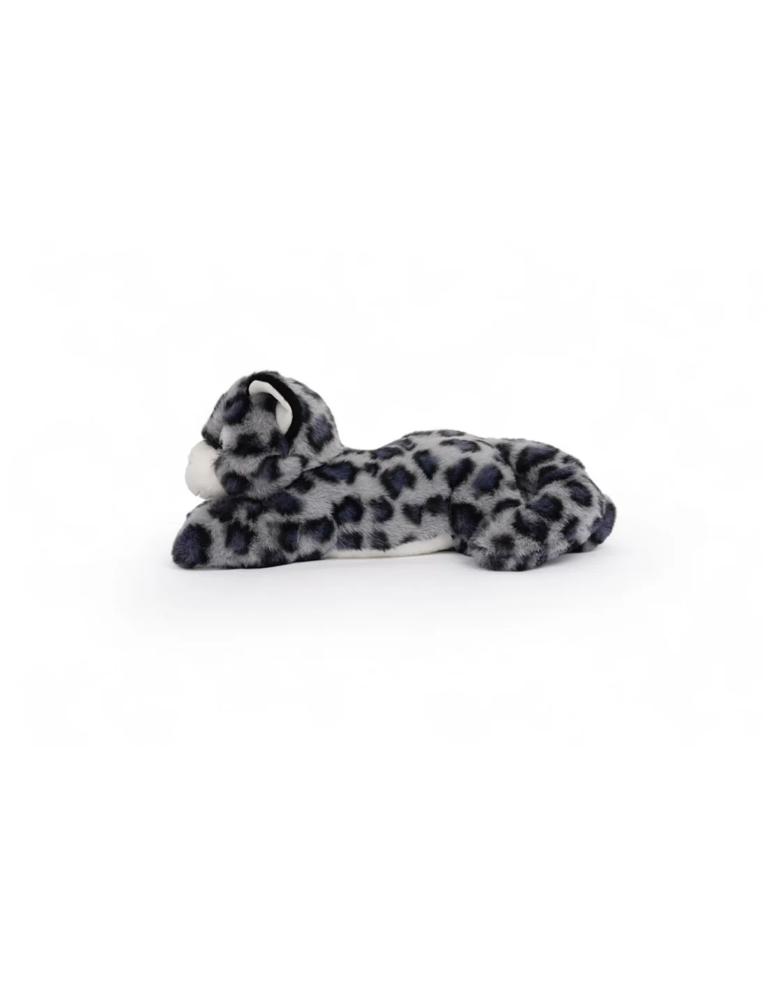 Tu amigo SKY , el Leopardo de las Nieves