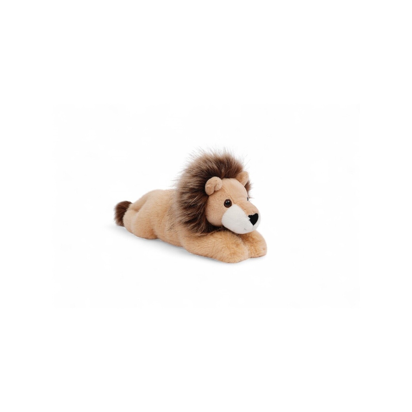 Tu amigo LEONARD, el León