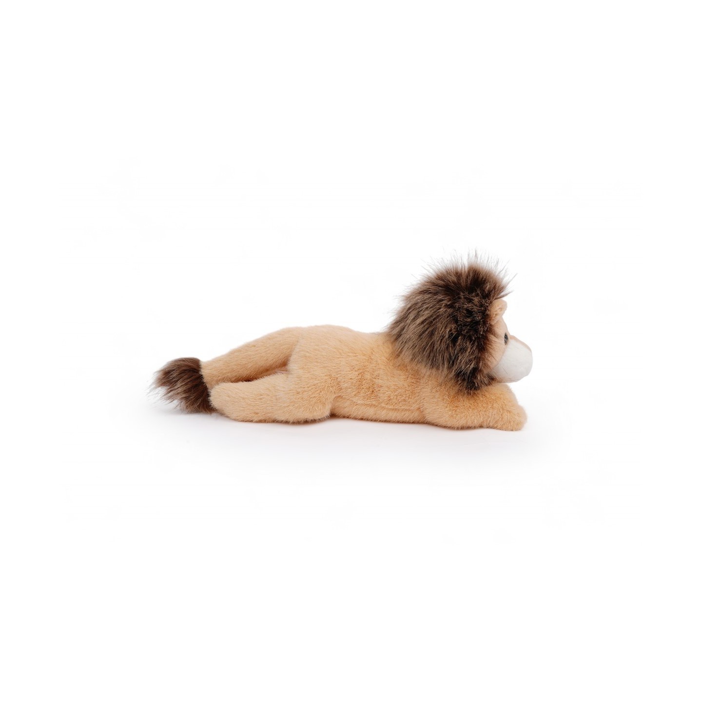 Tu amigo LEONARD, el León