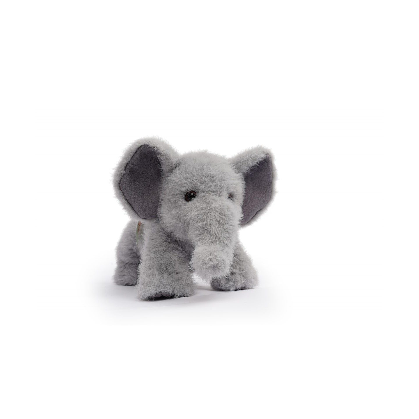 Tu amigo TAI, el Elefante