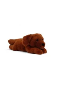 Tu amigo BUDDY, el Labrador/Retriever 2