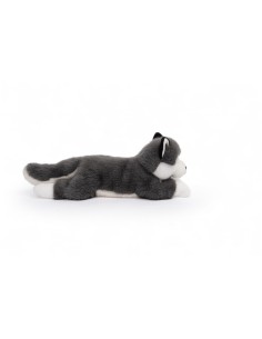 Tu amigo SCOUT, el Husky
