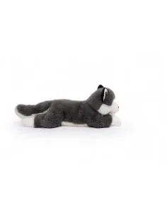Tu amigo SCOUT, el Husky