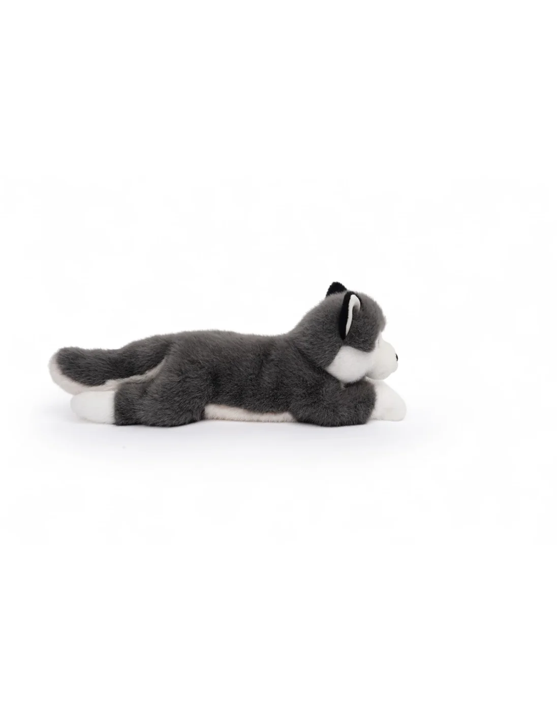 Tu amigo SCOUT, el Husky