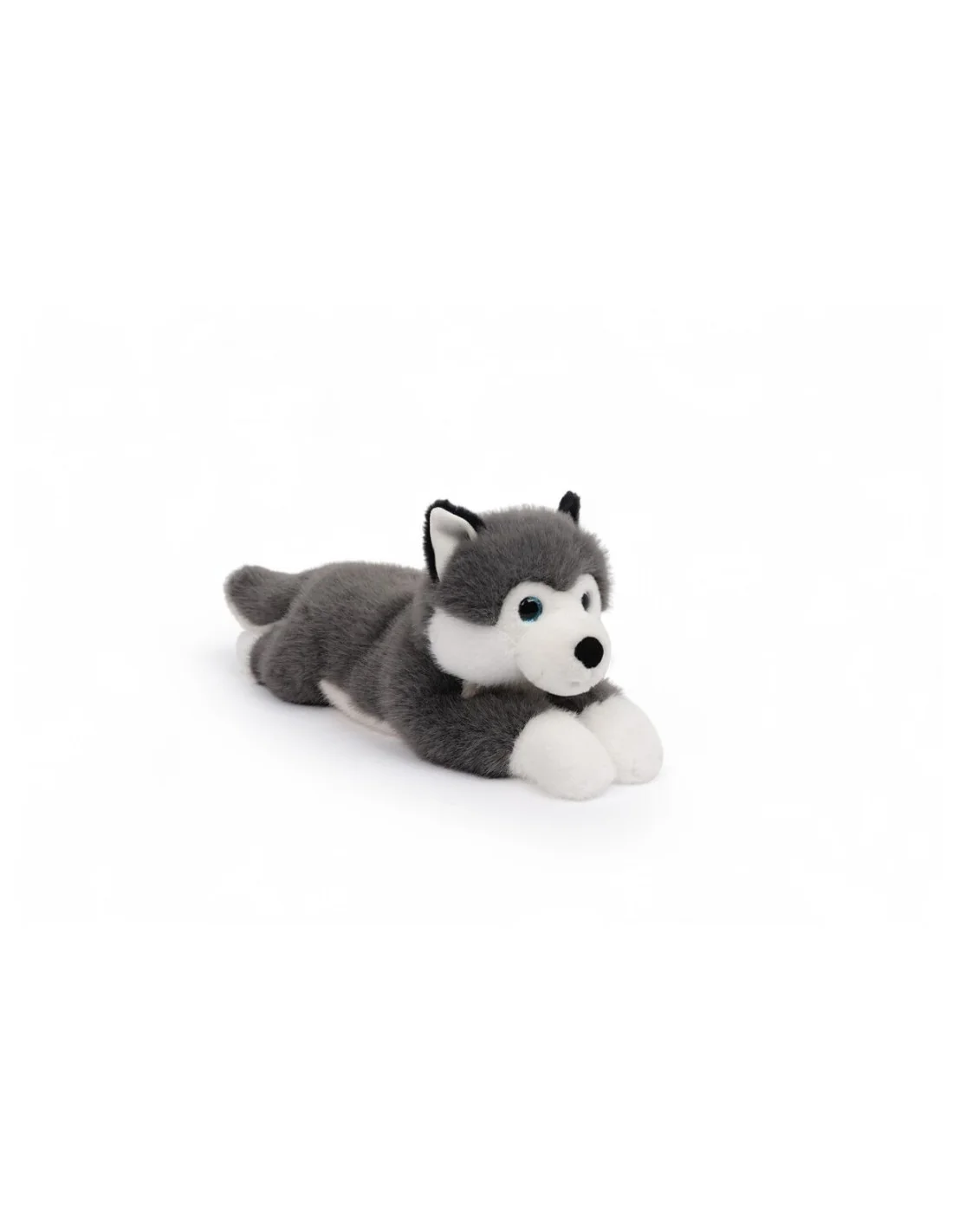 Tu amigo SCOUT, el Husky