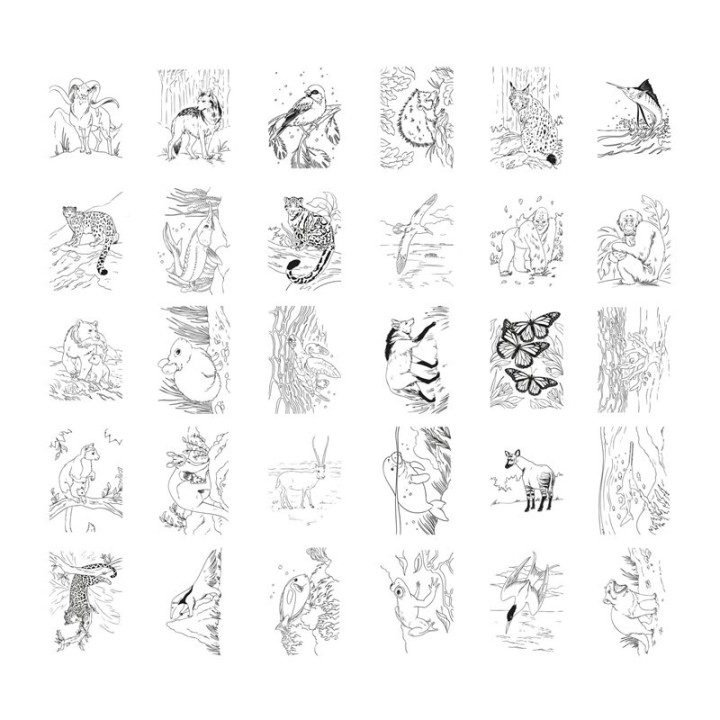 Tableta Retroiluminada KIDYDRAW PAD Animales