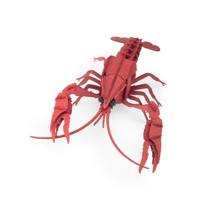 Puzle 3D Tout Autour Bogavante