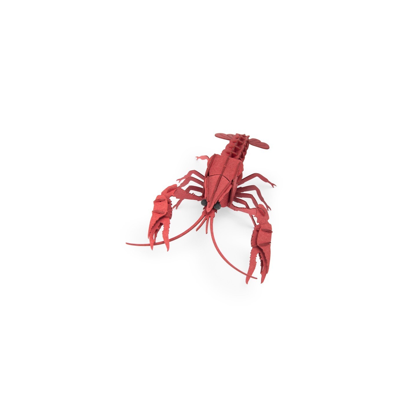 Puzle 3D Tout Autour Bogavante