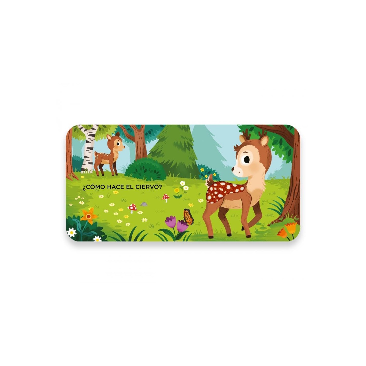 Toca y escucha - El Bosque
