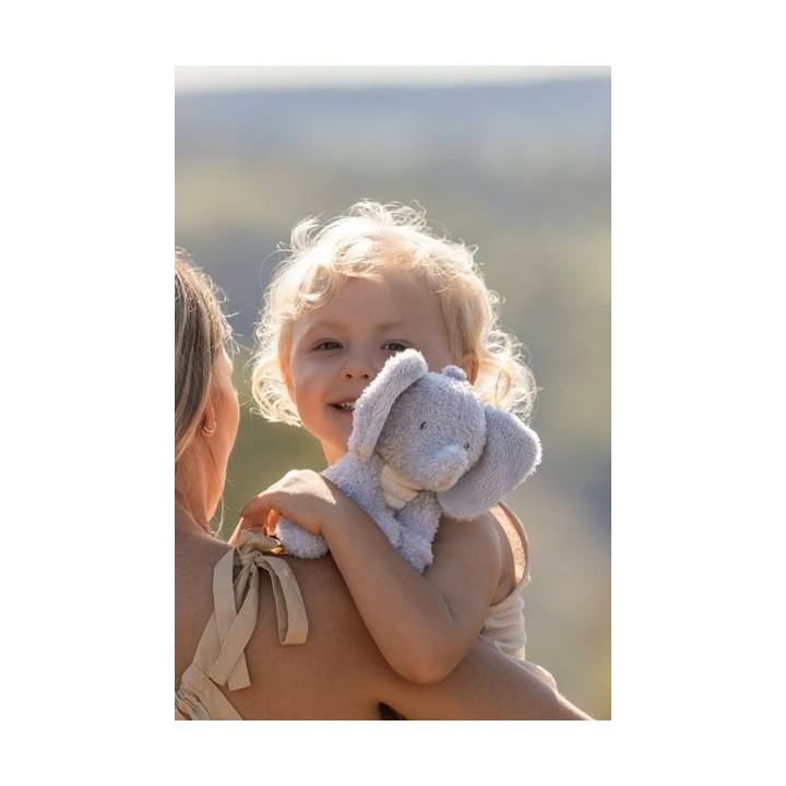 Peluche Elefante Safari Friends 17cms