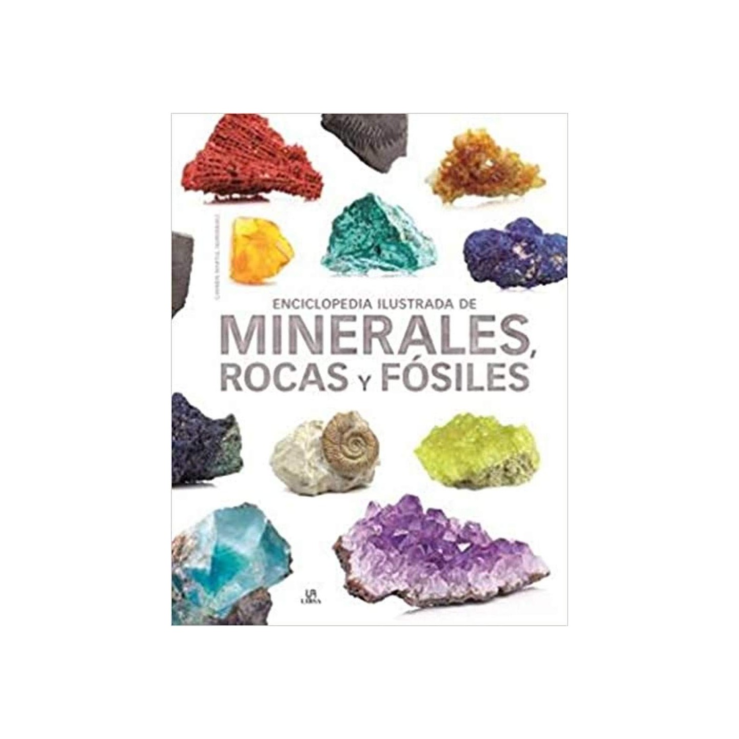 Enciclopedia Ilustrada De Minerales, Rocas y Fósiles