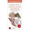 Conchas y caracoles marinos