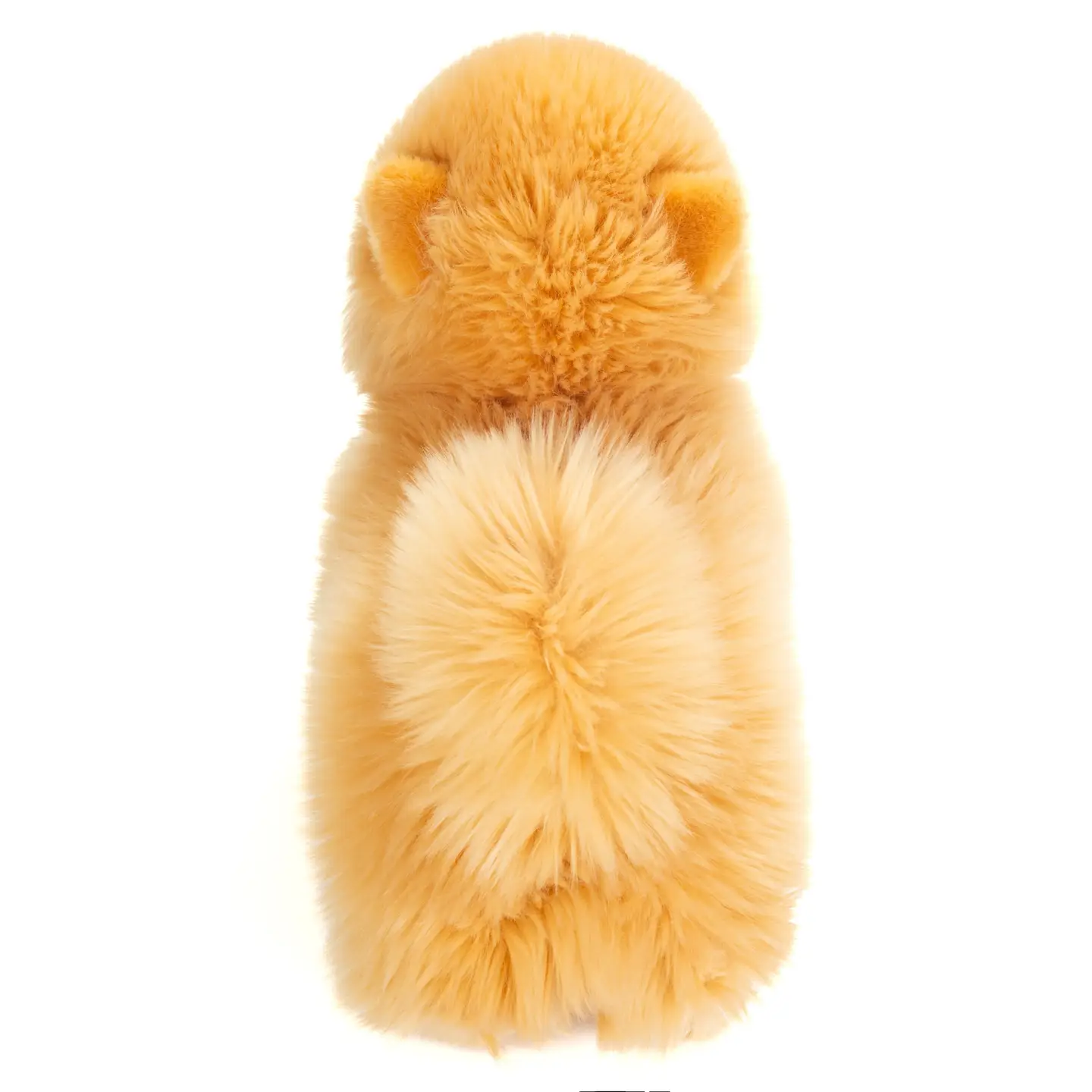 Peluche Pomeranian Golden 23 cm