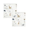 Pack 2 Gasitas Bambú Dinosaurius 60x60