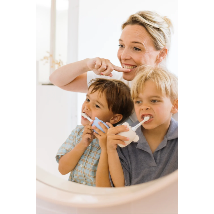 Cepillo de Dientes Eléctrico Infantil Sónico Recargable - Koala