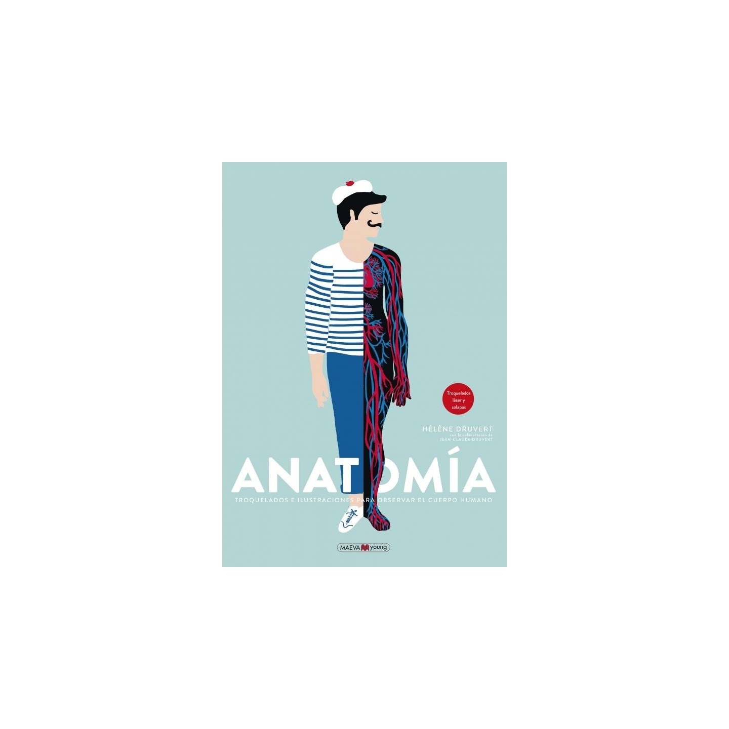 Anatomia