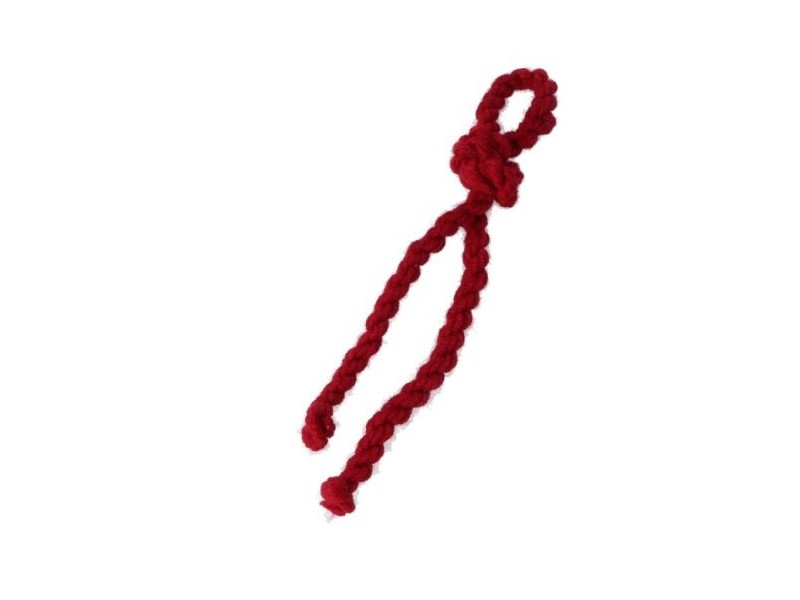 Cordón Pelo de Lana