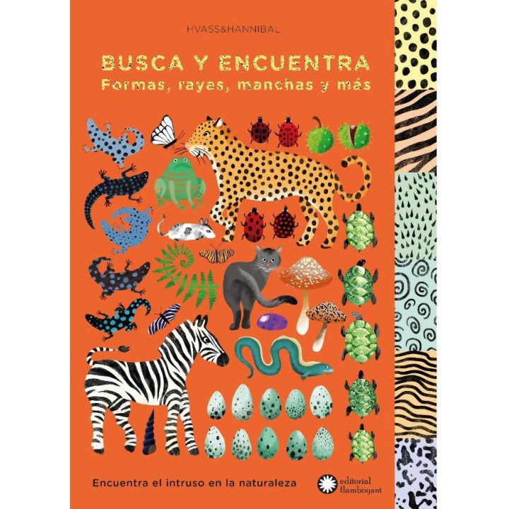 Busca y Encuentra Formas, Rallas, Manchas y mas