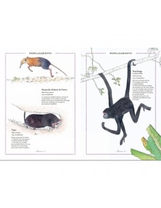 Inventario ilustrado de Animales con Cola 2