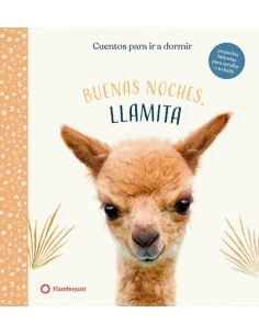 Buenas noches Llamita