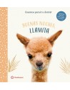 Buenas noches Llamita
