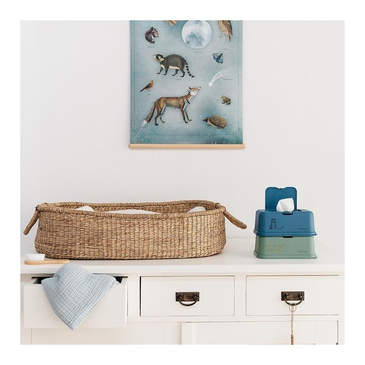Porta Toallitas Húmedas Funkybox Azul Tigre