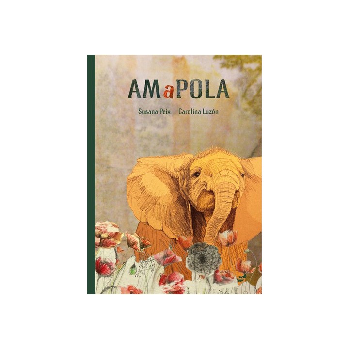 Amapola