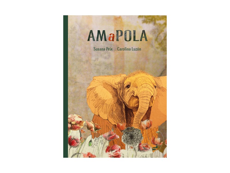 Amapola