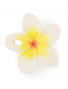 Mordedor Flor Hawai
