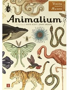 Animalium