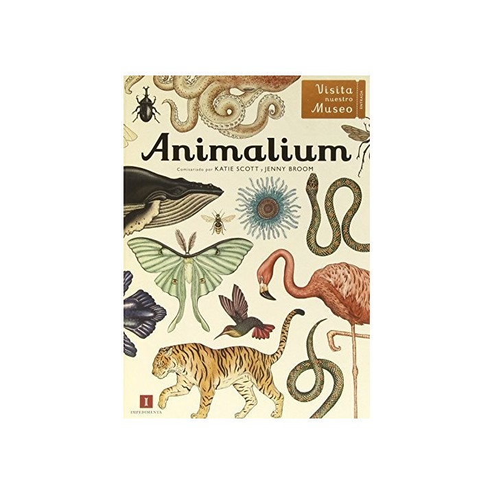 Animalium