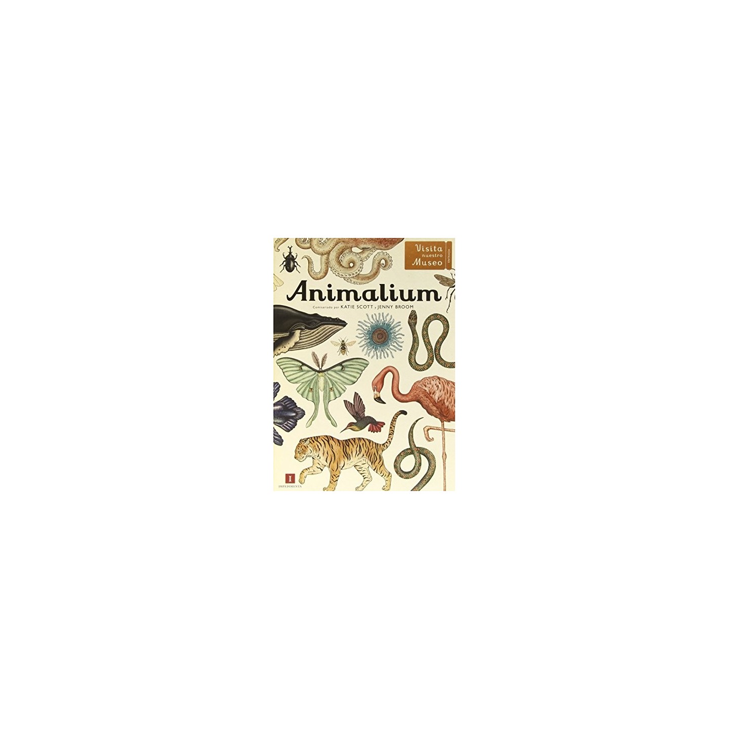 Animalium