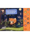 Escucha y descubre los Animales Nocturnos