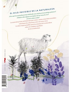 El hilo invisible de la Naturaleza 2