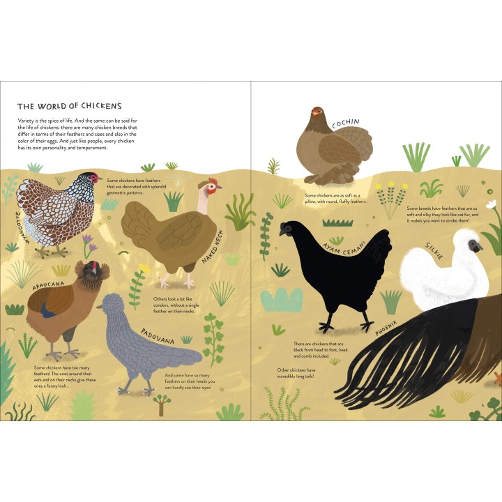 Chickenology
