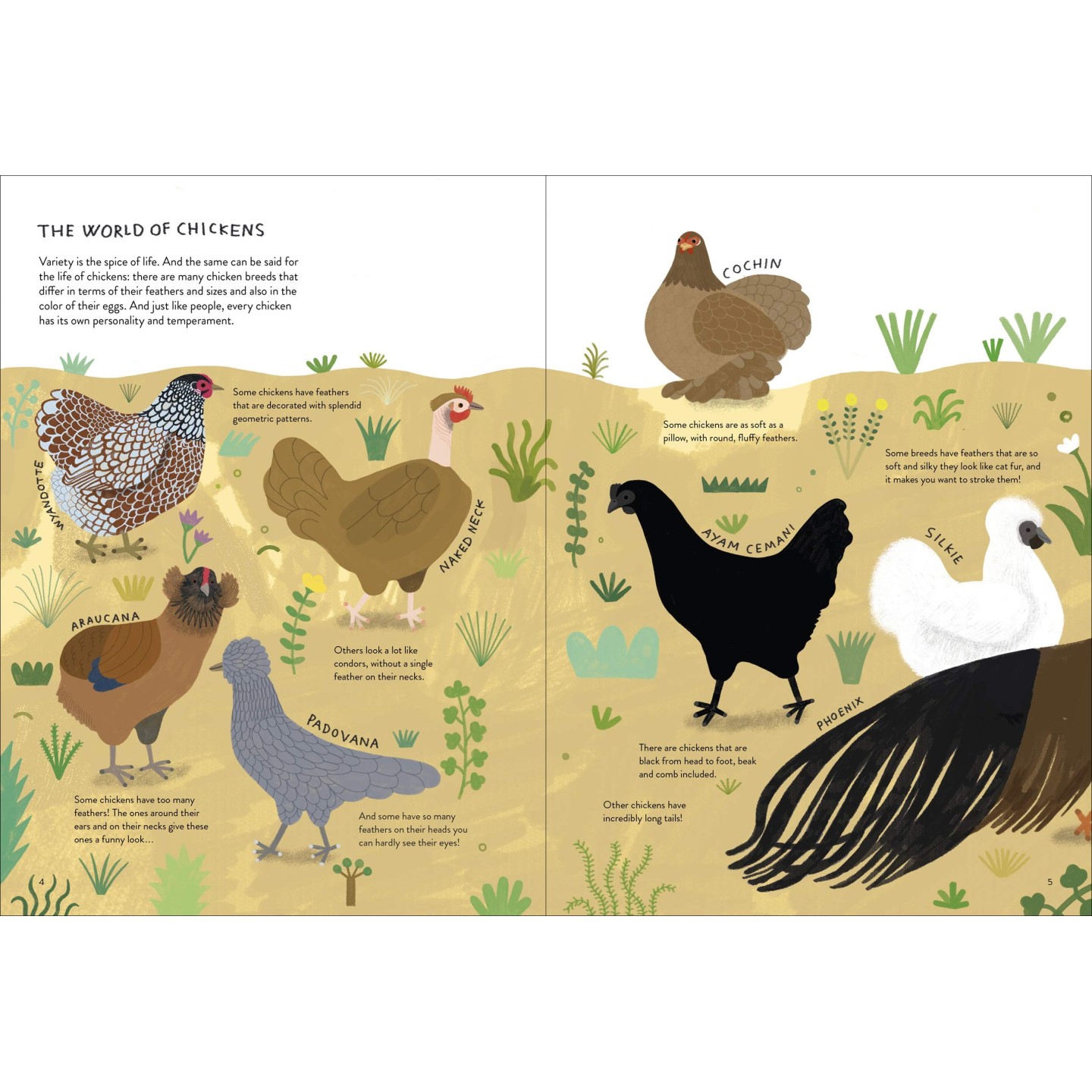 Chickenology