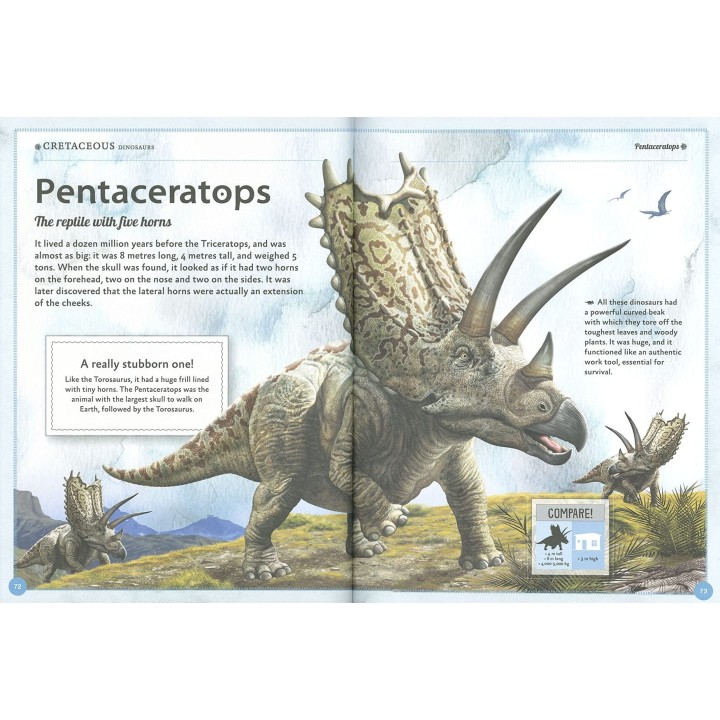 The Amazing Book Of Dinosaurs