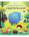 ¿Qué es la caca?