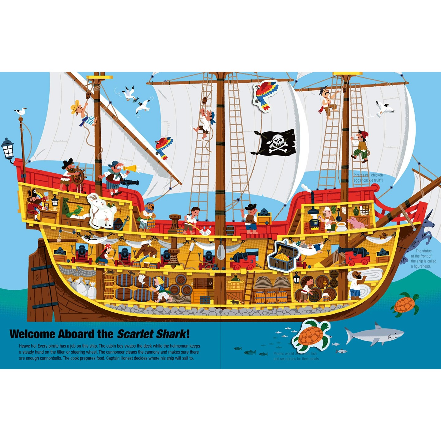 Pirates