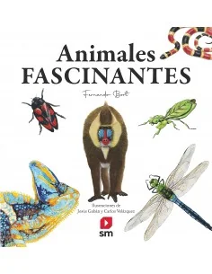Animales fascinantes