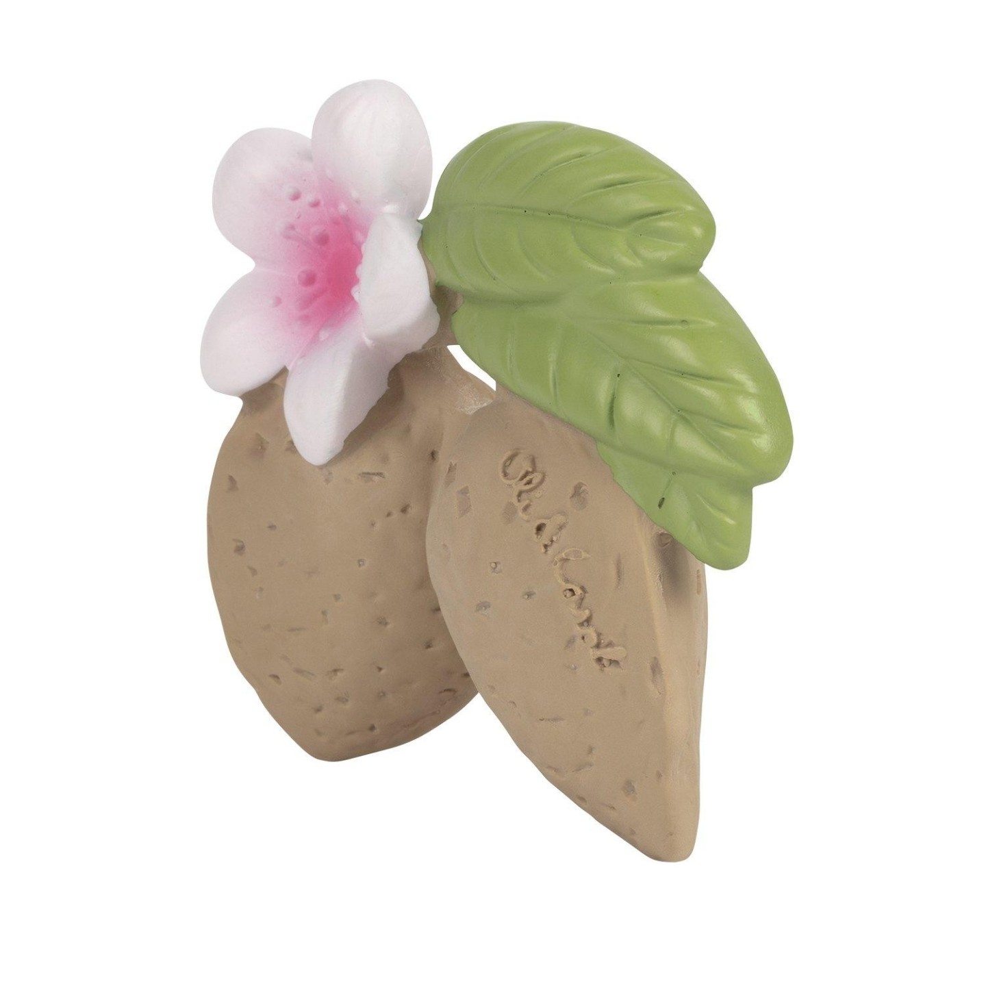 Mordedor Aly the Almond