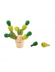Mini Cactus Equilibrio