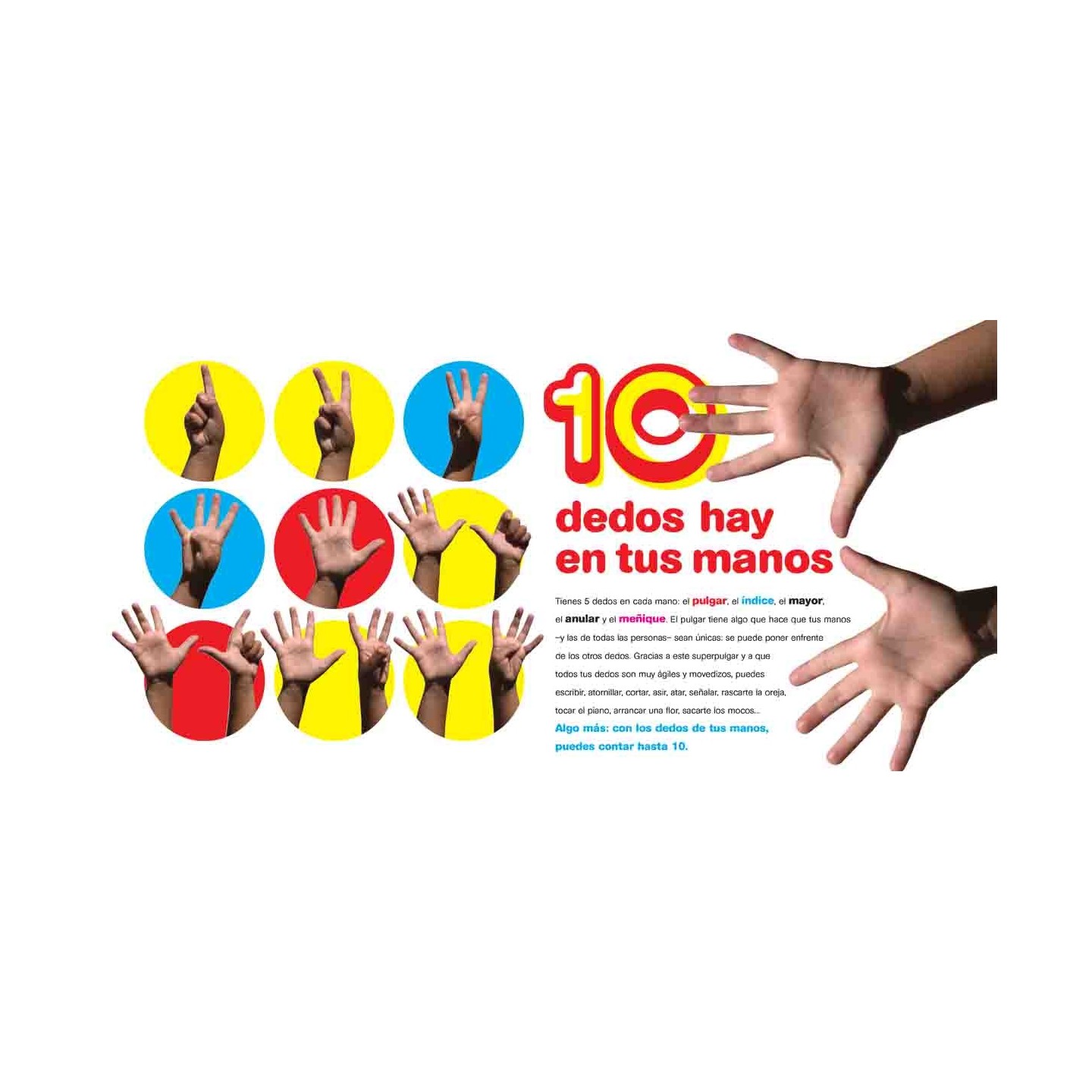 Tu cuerpo del 1 al 10